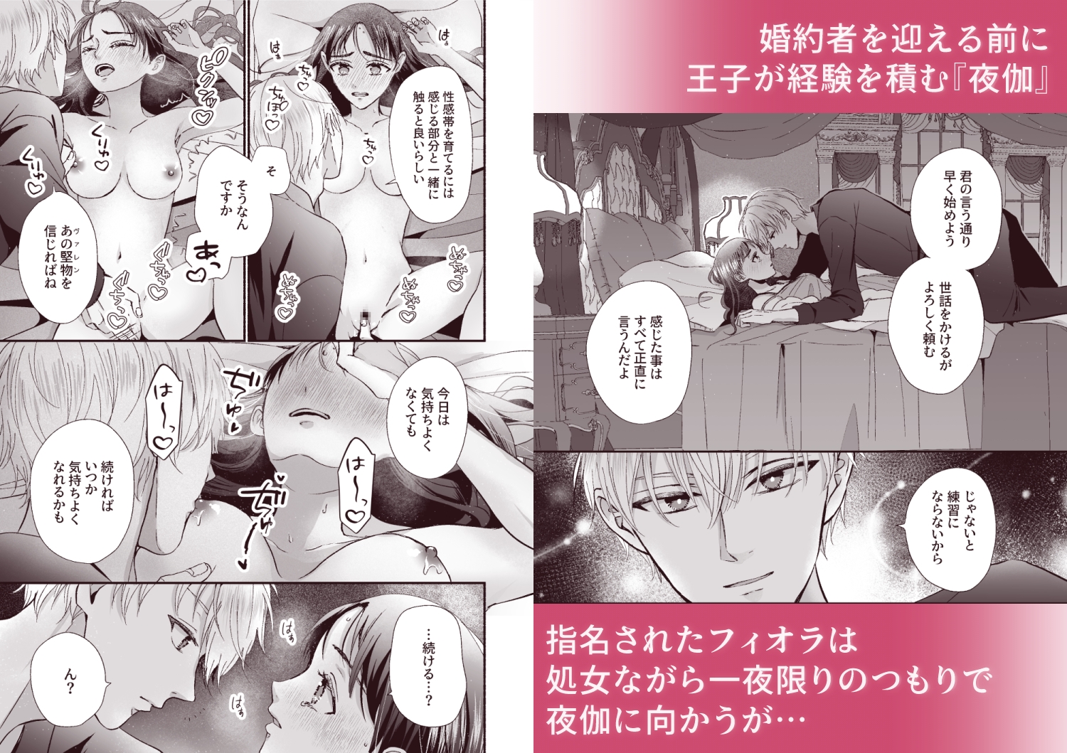 王子の夜伽は終わらない