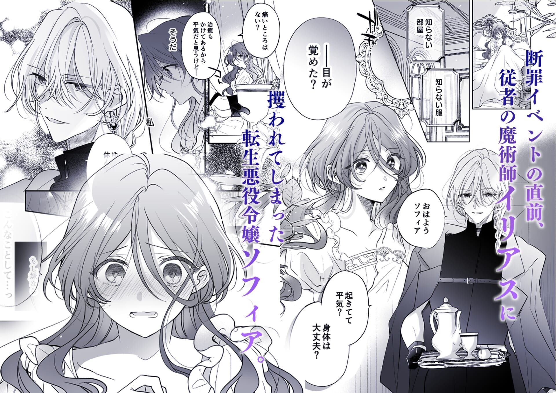 魔術師の偏愛2-TrueRoute-上