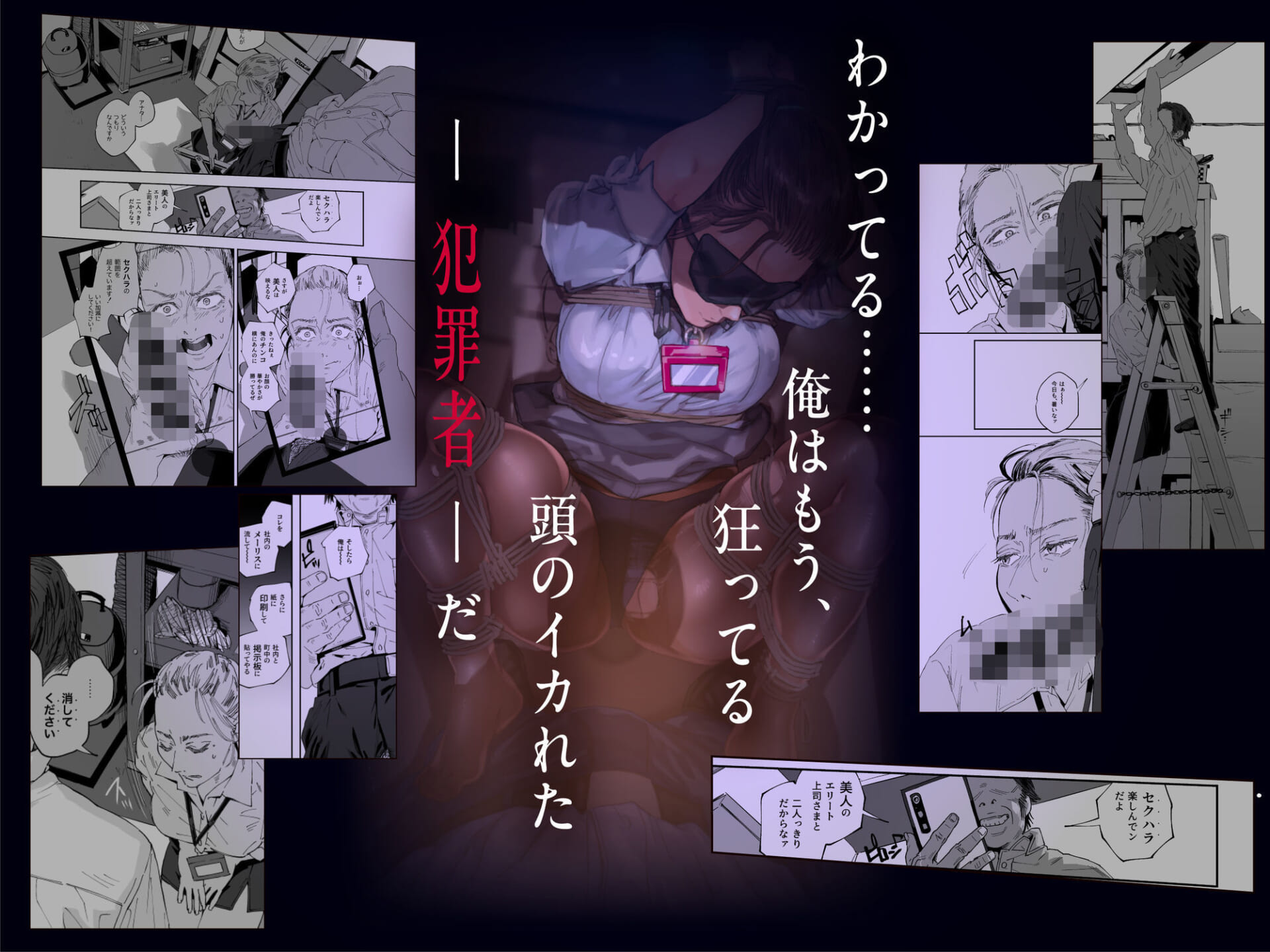 職場のエリート美女上司は、ただの気の強い処女でした!2 ガチ泣きで懇願しても絶頂中出し 学歴コンプ丸出しの超ひどい限界おっさんに 職場で全裸まで剥かれた高学歴女