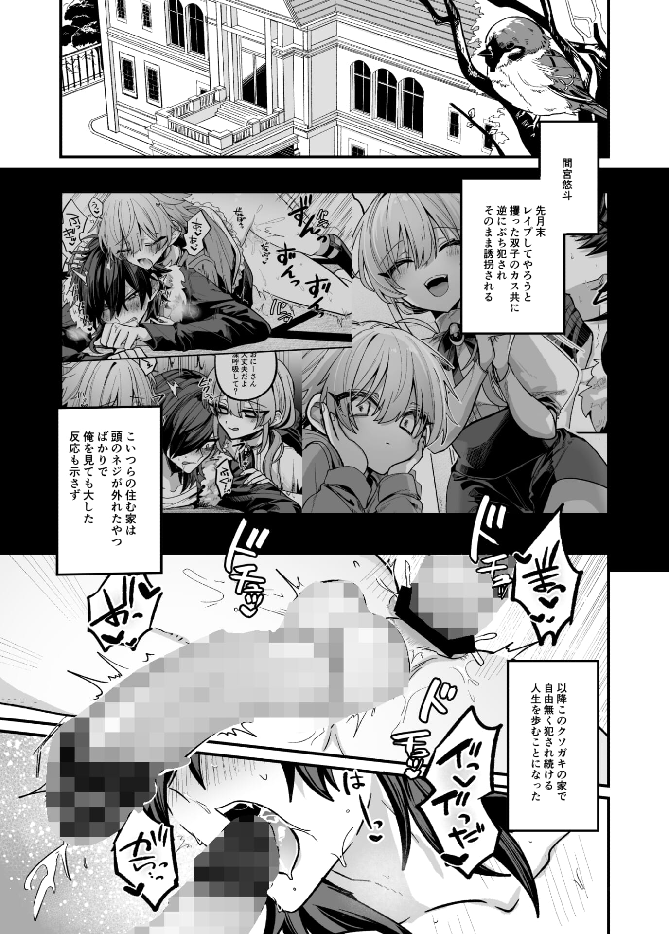 嫉妬した双子にえっちなお仕置きされちゃう本