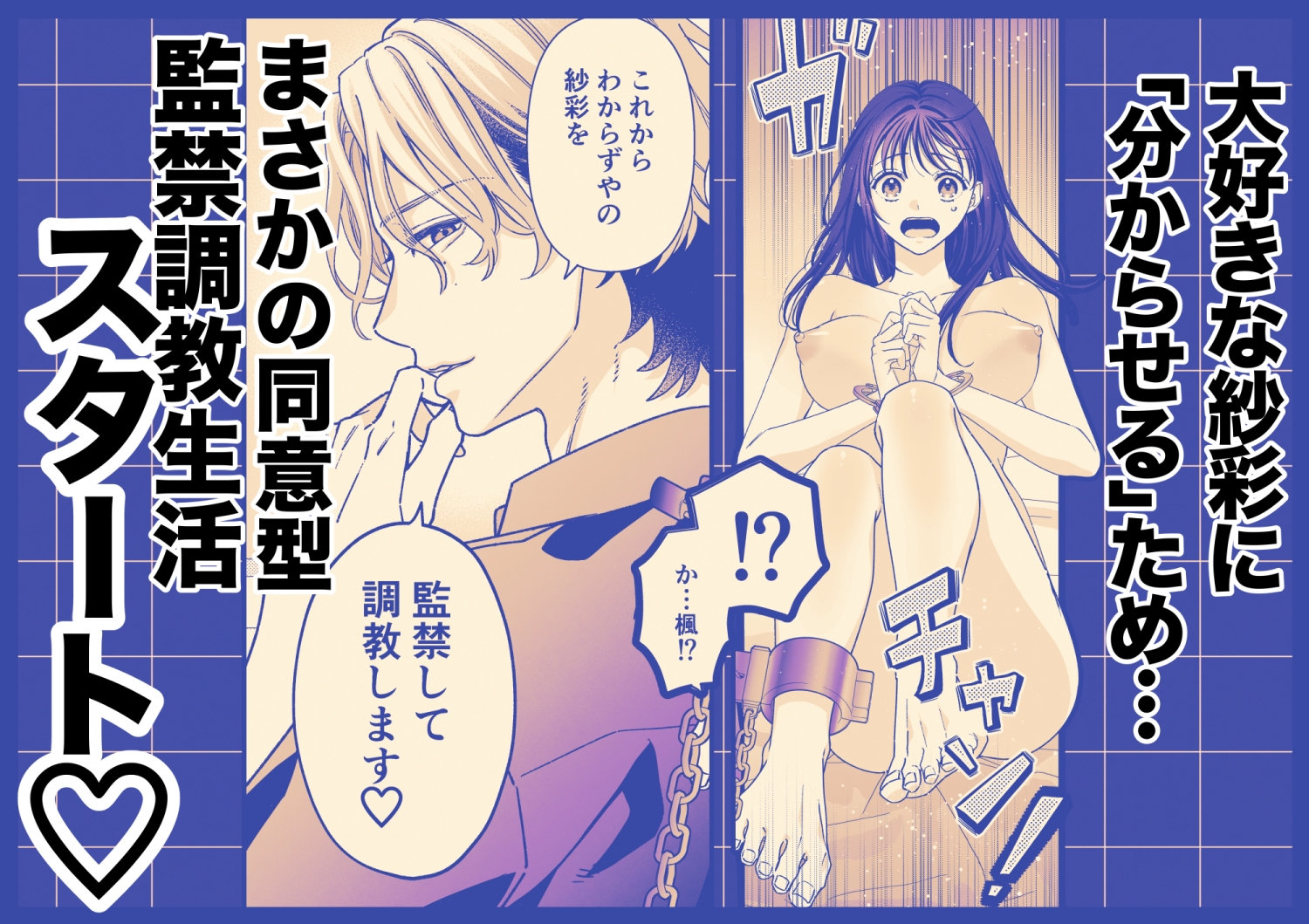 ヤンデレ彼氏の楓くん-監禁調教編-