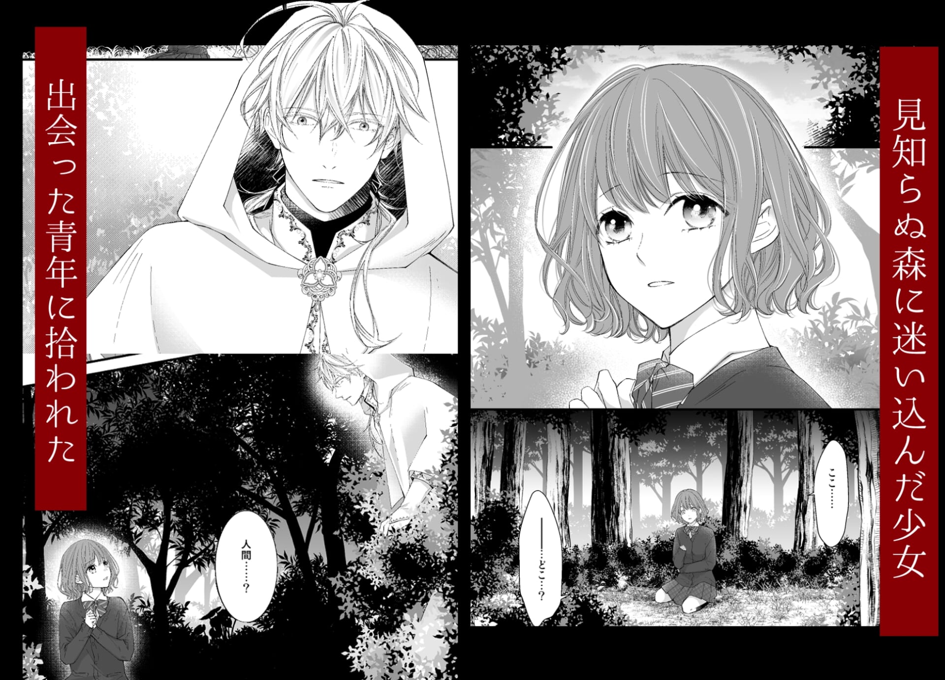 魔術師の鳥籠-フォレノワール-