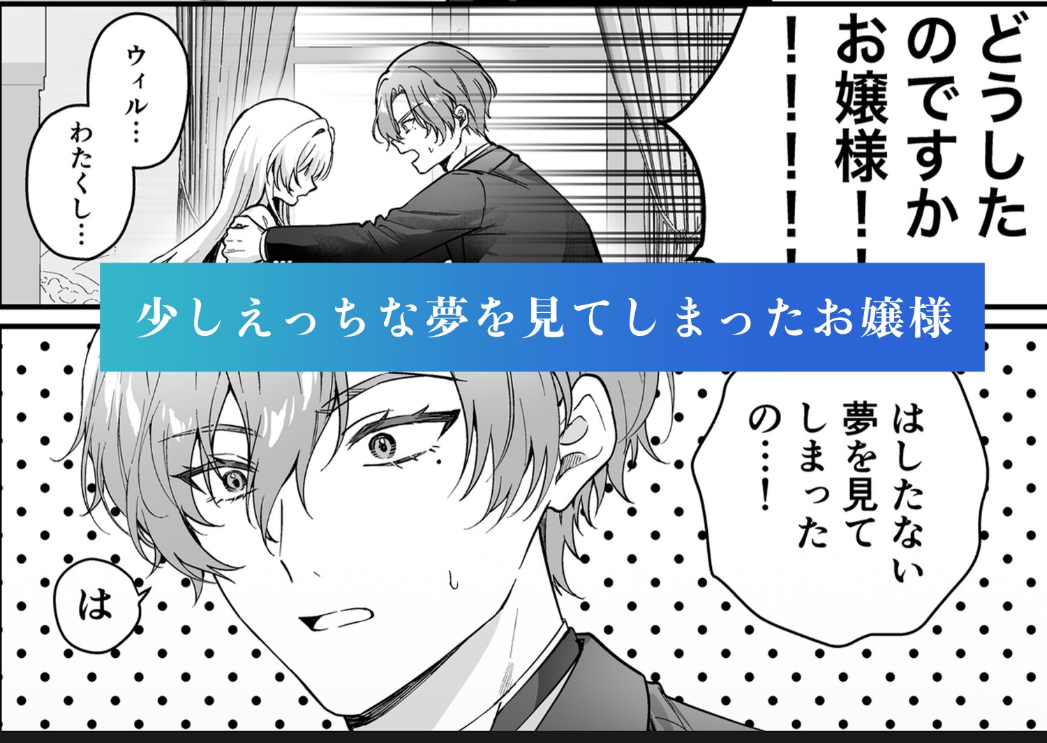 性に無知なお嬢様、生真面目執事に性教育される
