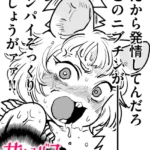 B915awnmg03719pl
