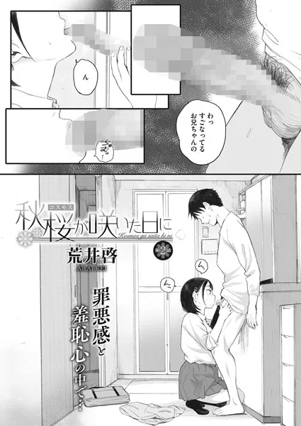 S011akamj00818pl